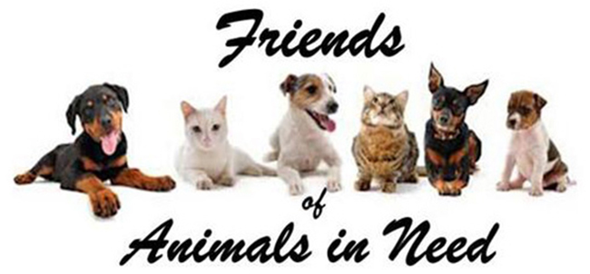 picture of cats and dogs